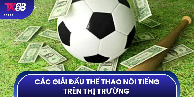 Các giải đấu thể thao nổi tiếng trên thị trường 