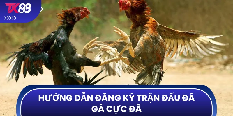 Hướng dẫn đăng ký trận đấu đá gà cực đã