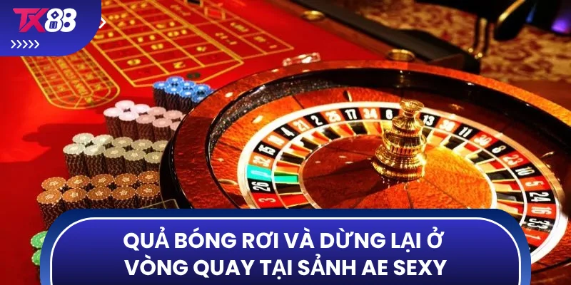 Quả bóng rơi và dừng lại ở vòng quay tại sảnh AE Sexy