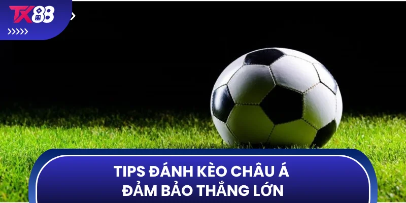 Tips đánh kèo châu Á đảm bảo thắng lớn
